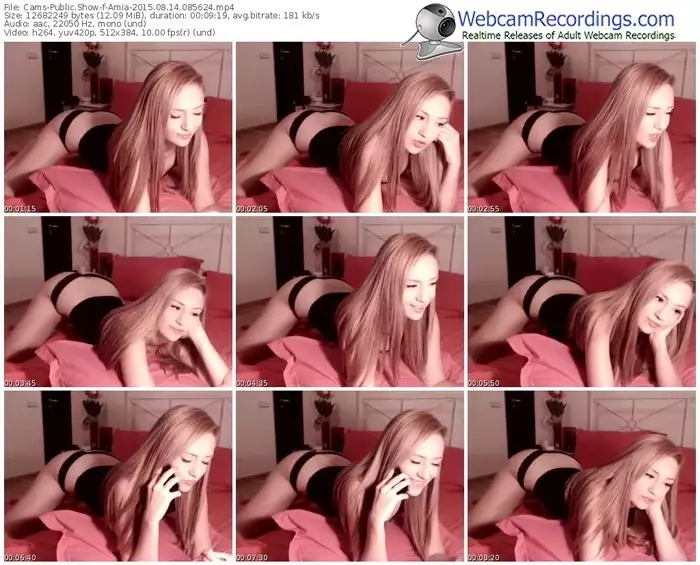 cams-amia-public-show-08_14_2015-08_56_24