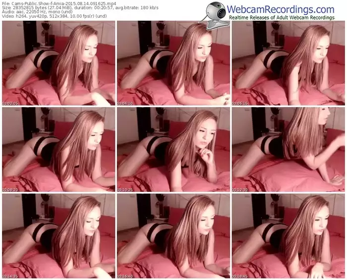 cams-amia-public-show-08_14_2015-09_16_25