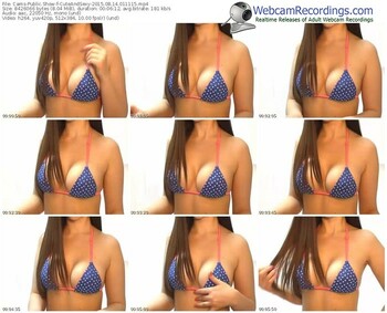 cams-cuteandsexy-public-show-08_14_2015-01_11_15