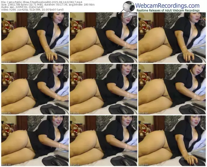 cams-feelsoogood02-public-show-08_14_2015-02_36_17