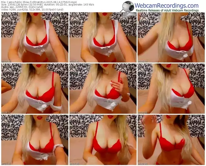 cams-ulltrakittys-public-show-08_14_2015-07_56_23