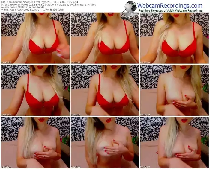 cams-ulltrakittys-public-show-08_14_2015-09_16_25