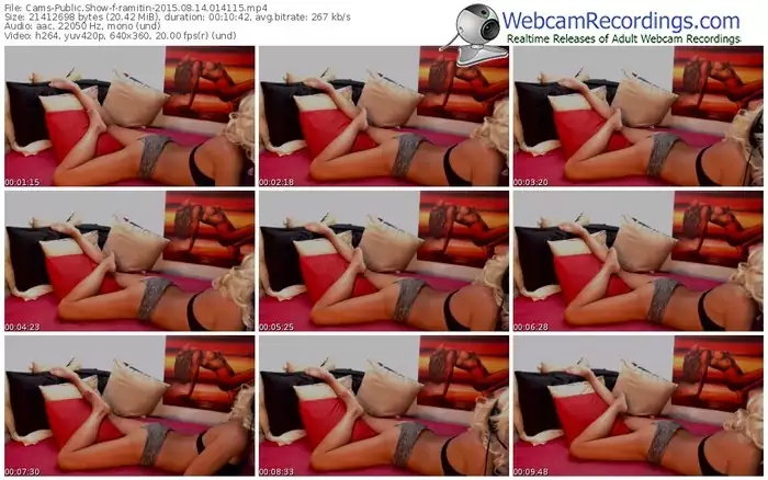 cams-ramitin-public-show-08_14_2015-01_41_15