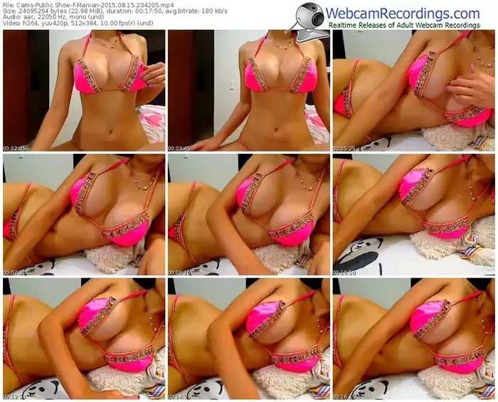 cams-mariian-public-show-08_15_2015-23_42_05