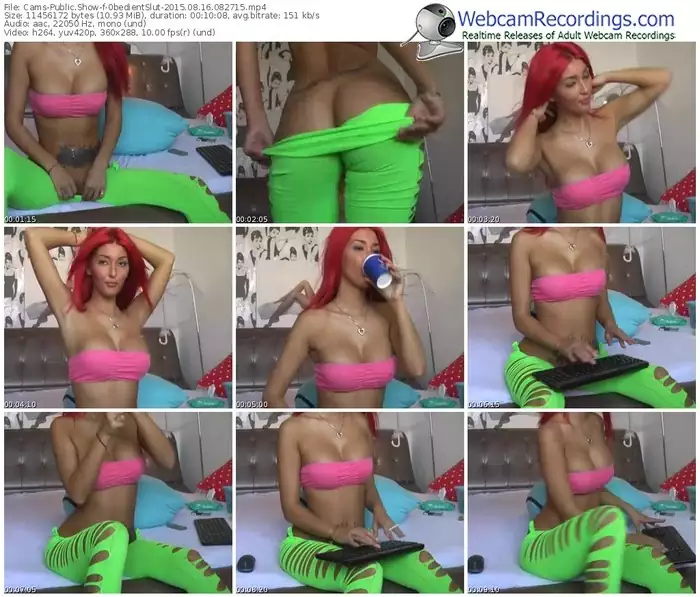 cams-0bedientslut-public-show-08_16_2015-08_27_15
