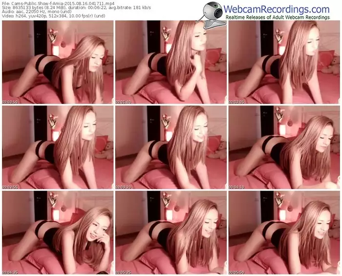 cams-amia-public-show-08_16_2015-04_17_11