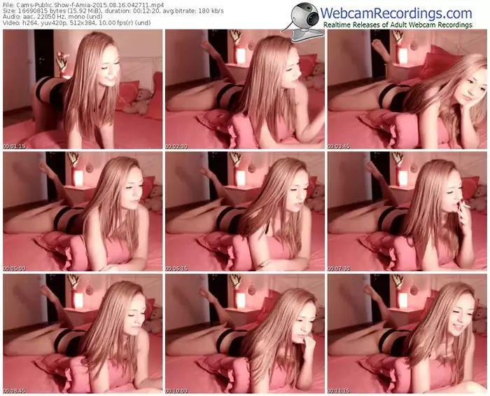 cams-amia-public-show-08_16_2015-04_27_11