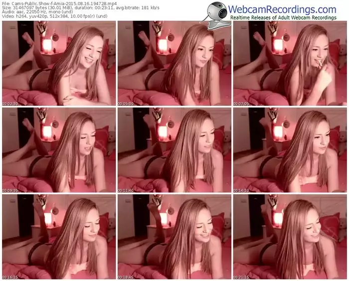 cams-amia-public-show-08_16_2015-19_47_28