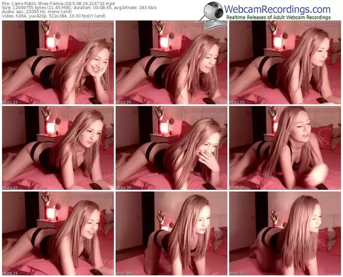 cams-amia-public-show-08_16_2015-21_47_32