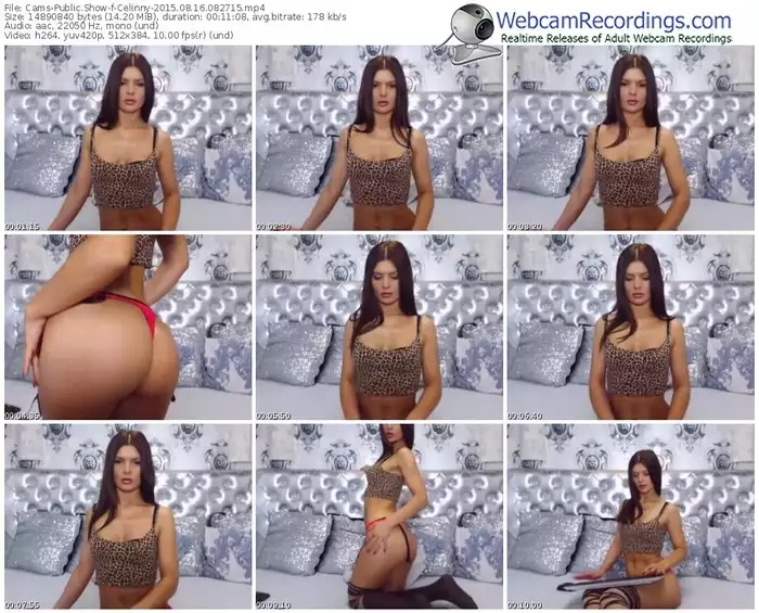 cams-celinny-public-show-08_16_2015-08_27_15