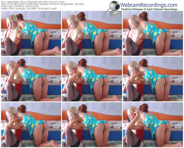 cams-dalyah-public-show-08_16_2015-10_37_17