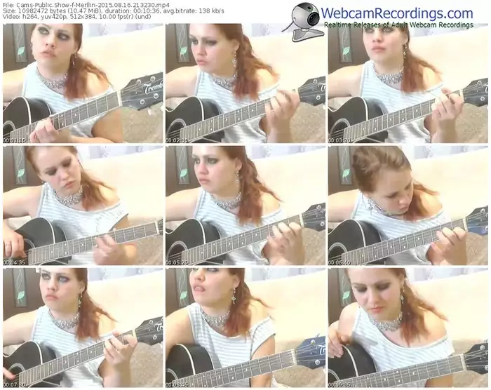 cams-merllin-public-show-08_16_2015-21_32_30