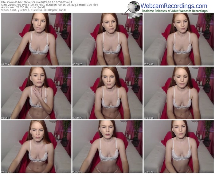 cams-siera-public-show-08_16_2015-00_52_07