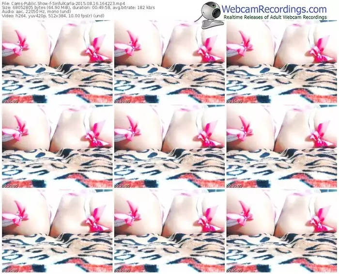 cams-sinfulkarla-public-show-08_16_2015-16_42_23