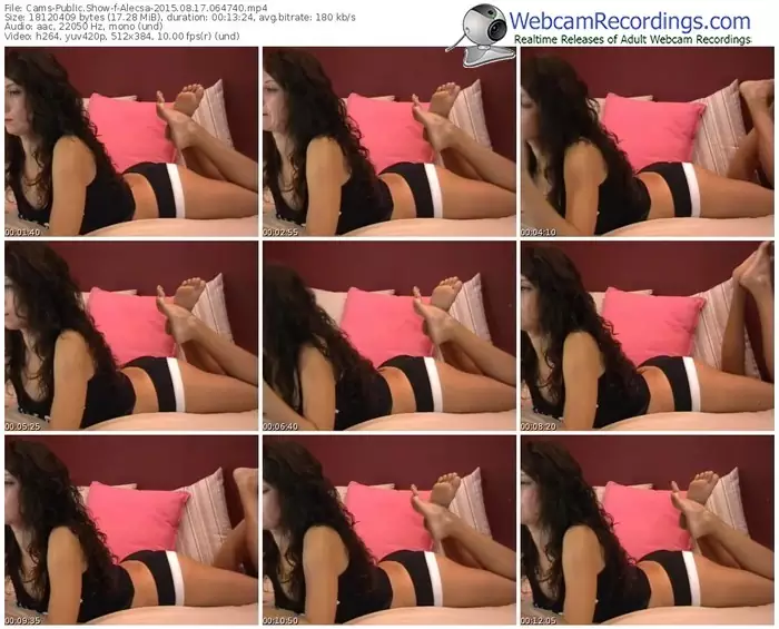 cams-alecsa-public-show-08_17_2015-06_47_40