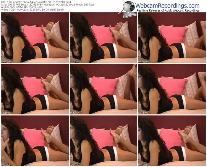 cams-alecsa-public-show-08_17_2015-07_02_40