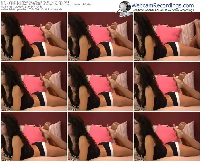 cams-alecsa-public-show-08_17_2015-12_37_45