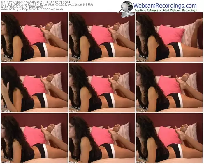 cams-alecsa-public-show-08_17_2015-12_52_47