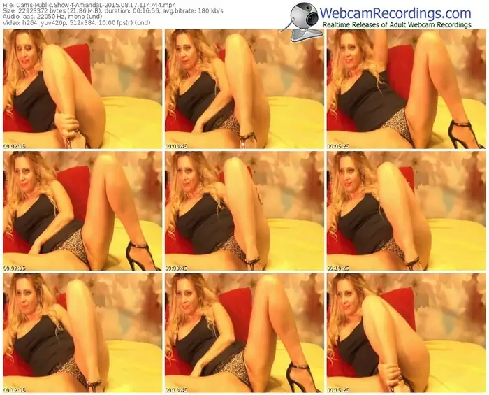 cams-amandal-public-show-08_17_2015-11_47_44