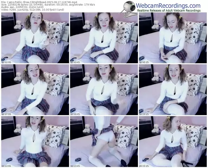 cams-brightbead-public-show-08_17_2015-12_47_46