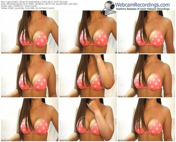 cams-cuteandsexy-public-show-08_17_2015-00_37_34