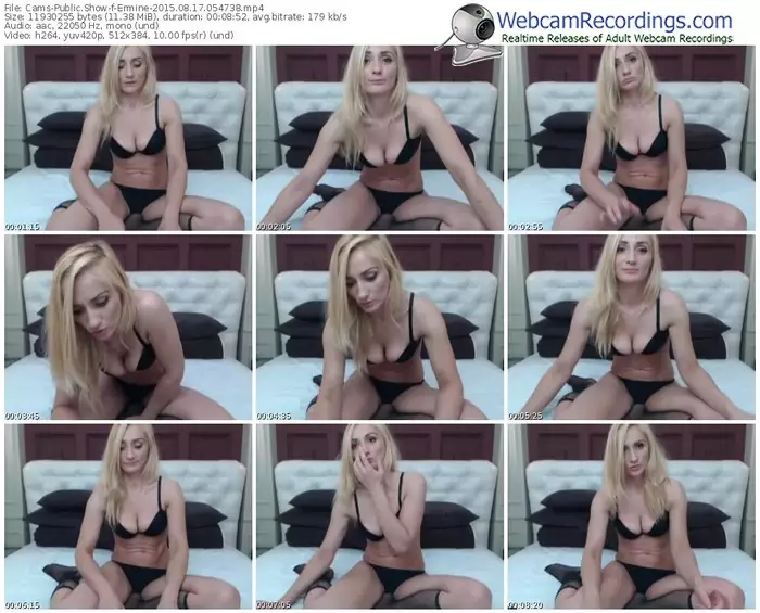 cams-ermine-public-show-08_17_2015-05_47_38