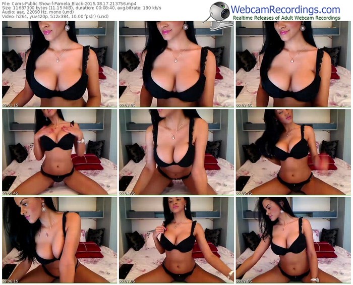 cams-pamela_black-public-show-08_17_2015-21_37_56