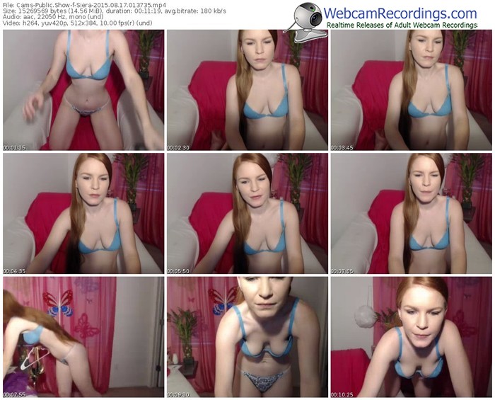 cams-siera-public-show-08_17_2015-01_37_35