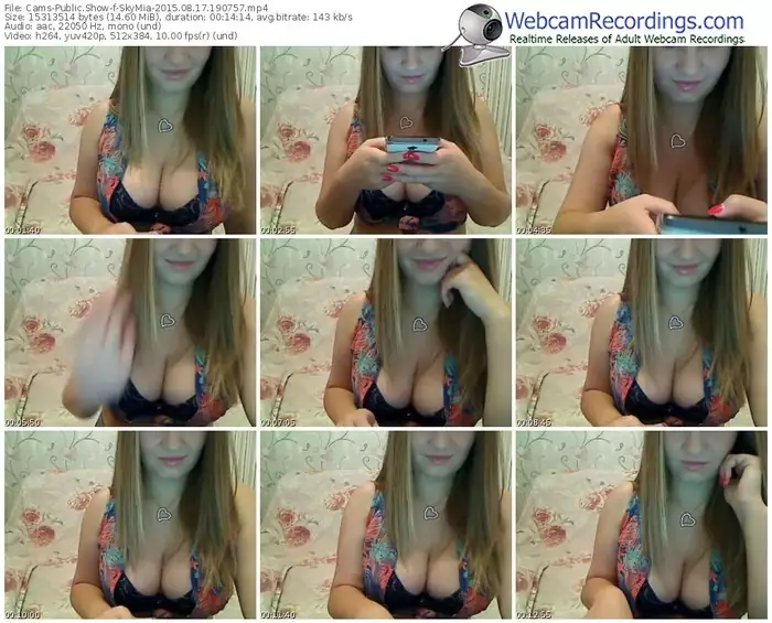 cams-skymia-public-show-08_17_2015-19_07_57