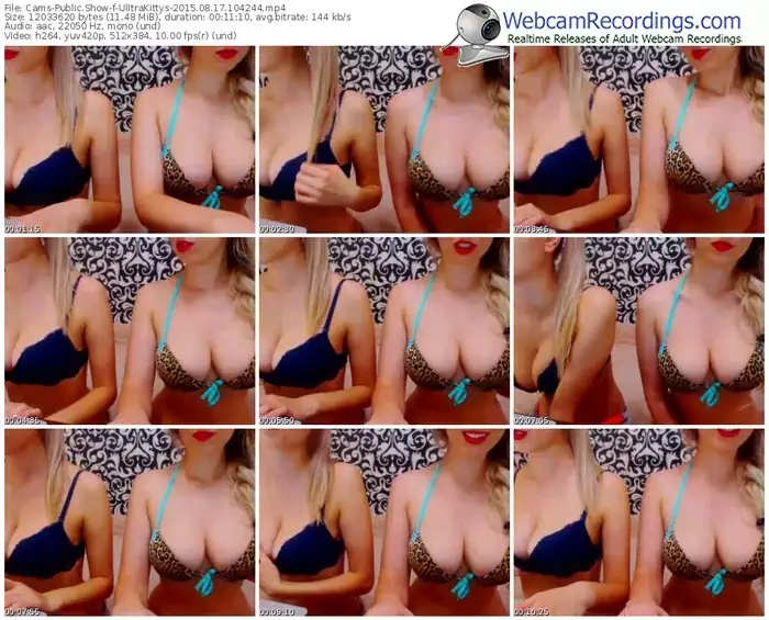 cams-ulltrakittys-public-show-08_17_2015-10_42_44