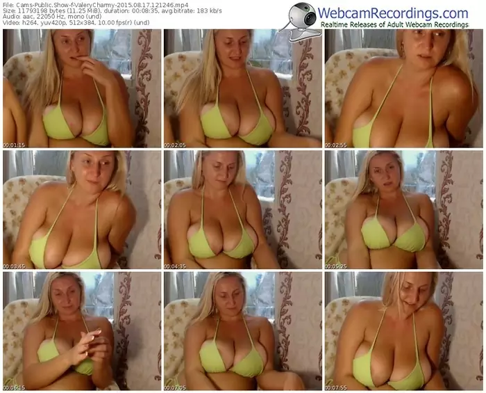 cams-valerycharmy-public-show-08_17_2015-12_12_46