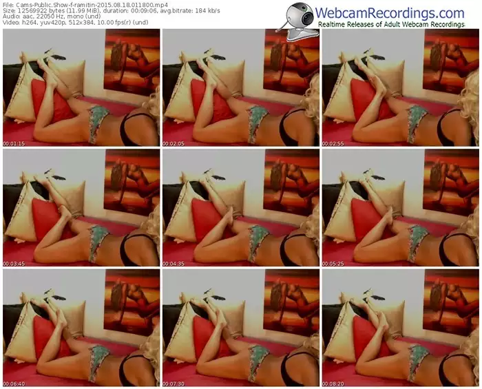 cams-ramitin-public-show-08_18_2015-01_18_00