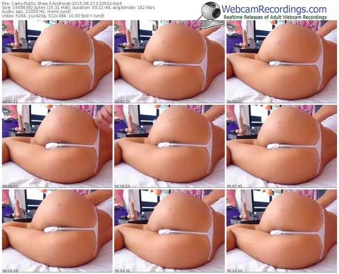 cams-andressk-public-show-08_27_2015-13_29_32