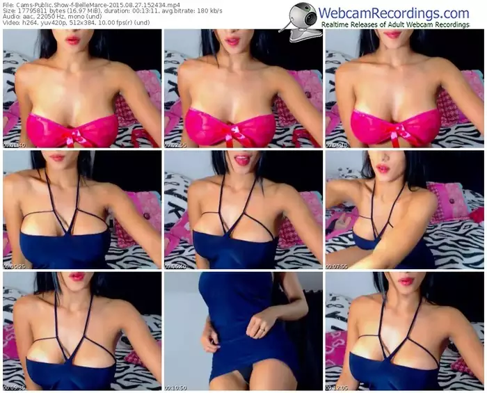 cams-bellemarce-public-show-08_27_2015-15_24_34