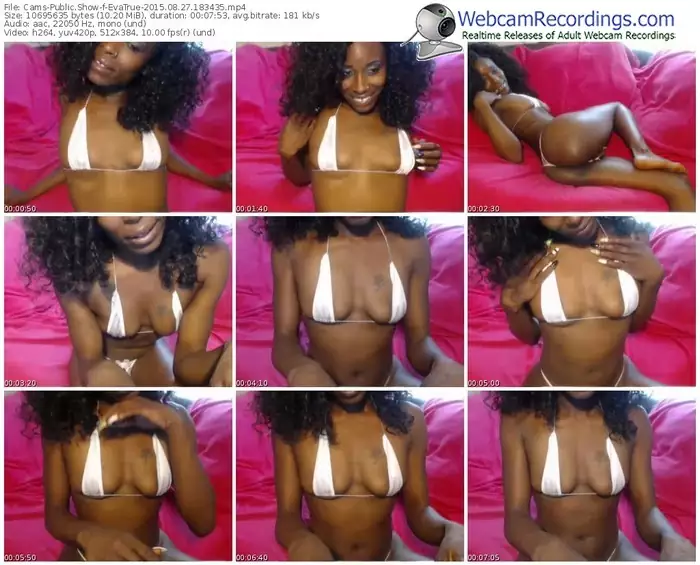 cams-evatrue-public-show-08_27_2015-18_34_35