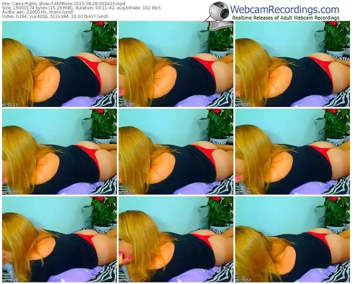 cams-ahhrose-public-show-08_28_2015-00_24_33