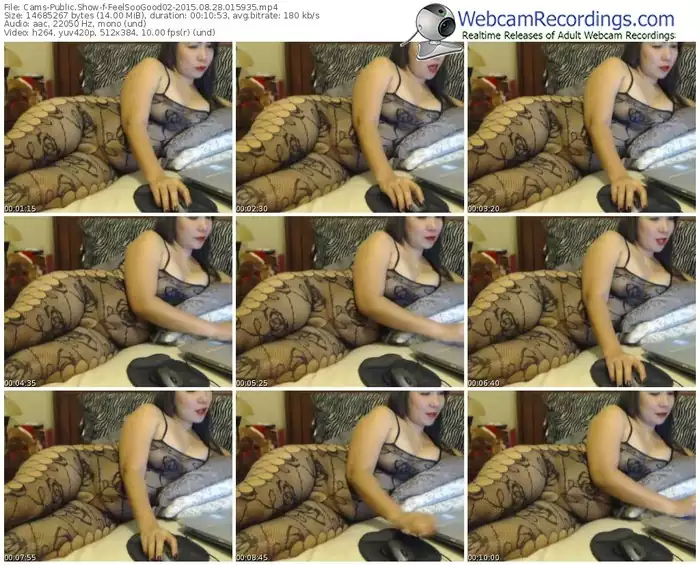 cams-feelsoogood02-public-show-08_28_2015-01_59_35