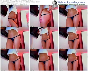 cams-purrediamond-public-show-08_28_2015-00_54_35