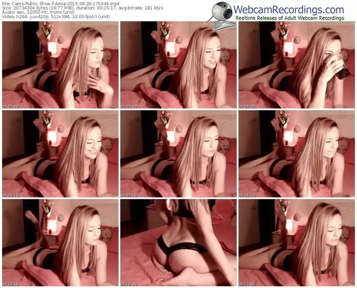 cams-amia-public-show-08_29_2015-17_59_49