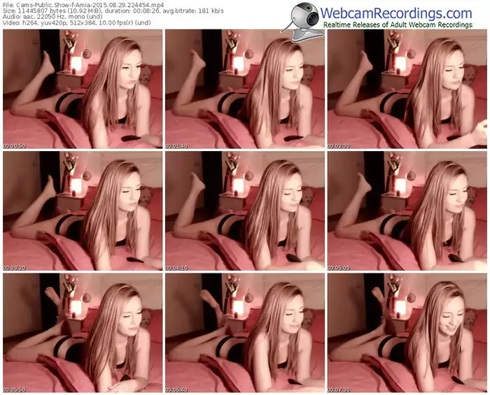 cams-amia-public-show-08_29_2015-22_44_54