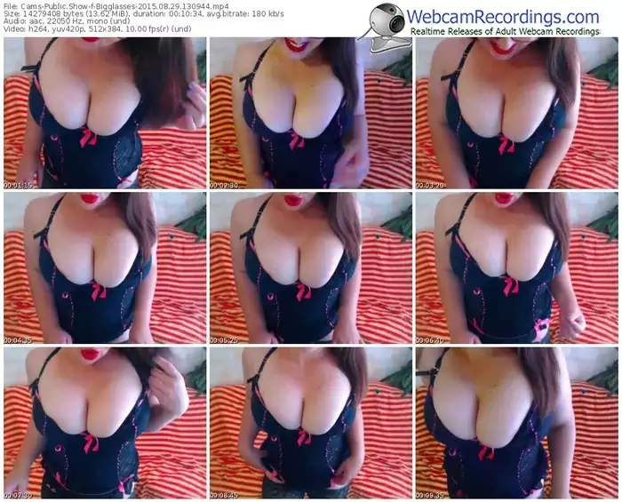 cams-bigglasses-public-show-08_29_2015-13_09_44