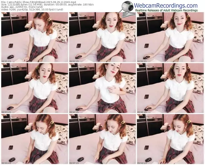 cams-brightbead-public-show-08_29_2015-11_29_43