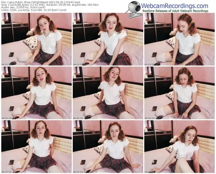 cams-brightbead-public-show-08_29_2015-12_04_43