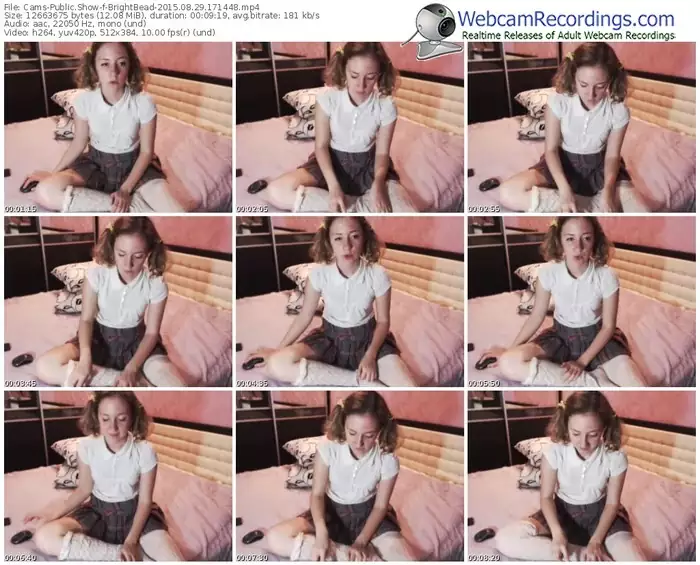 cams-brightbead-public-show-08_29_2015-17_14_48