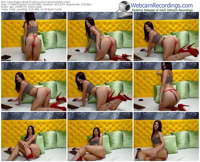 cams-celinny-public-show-08_29_2015-09_24_41