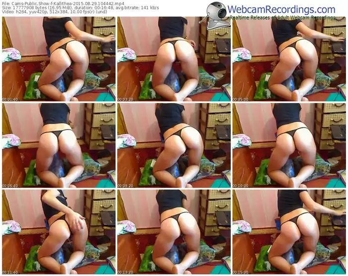 cams-kallithea-public-show-08_29_2015-10_44_42