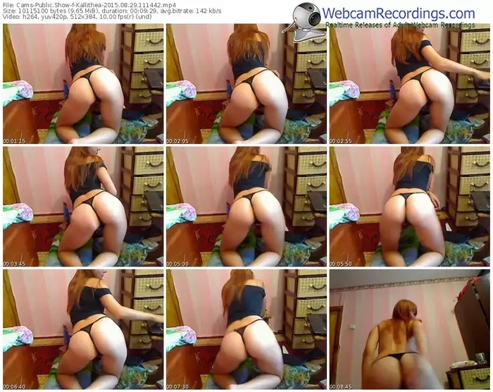 cams-kallithea-public-show-08_29_2015-11_14_42