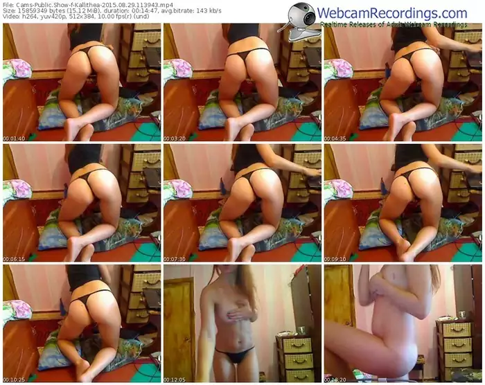 cams-kallithea-public-show-08_29_2015-11_39_43