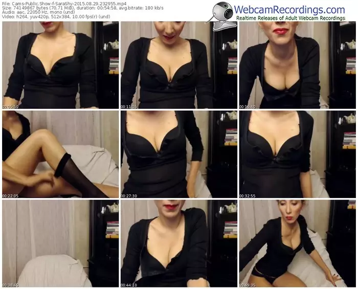 cams-sarashy-public-show-08_29_2015-23_29_55