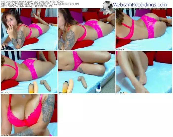 cams-steffy_love-public-show-08_29_2015-11_04_42